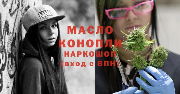 шишки Дубна