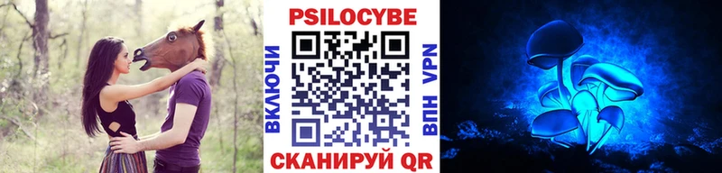 Галлюциногенные грибы Psilocybe  kraken зеркало  Бородино  что такое наркотик 